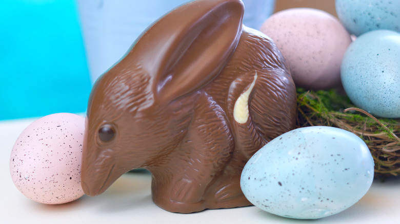 chocolate bilby