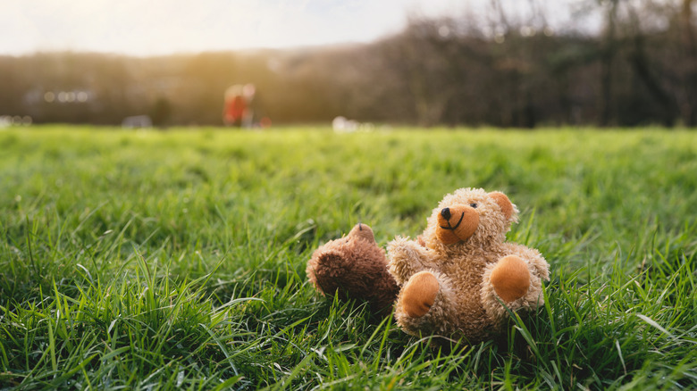 A lone teddy in grass