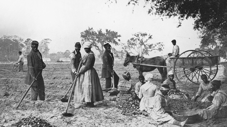 Enslaved people on plantation