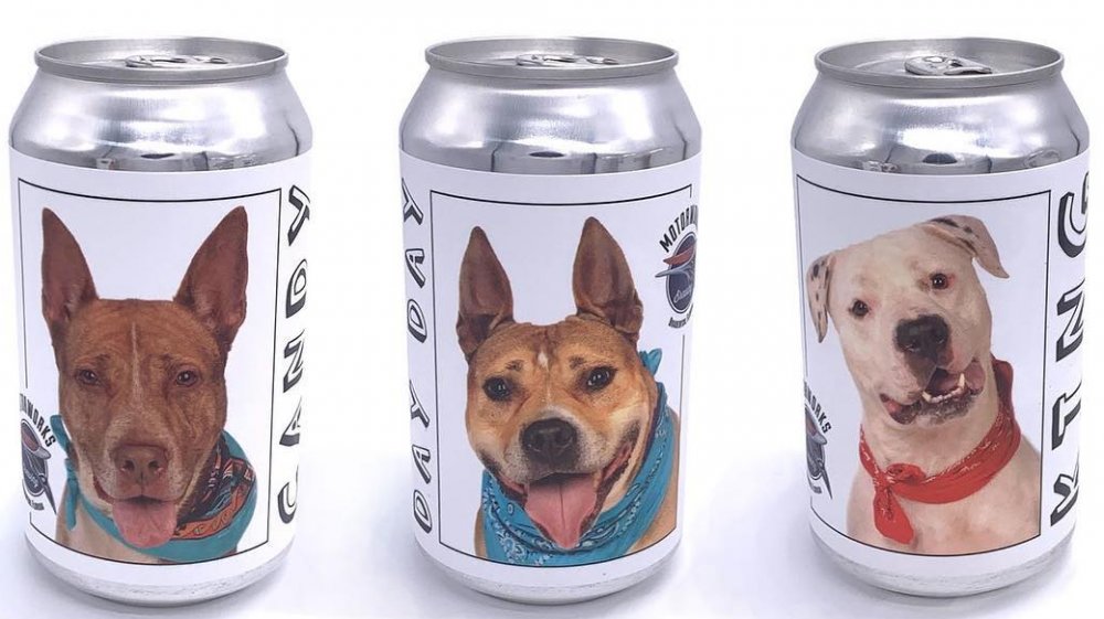 Missing dog beer can