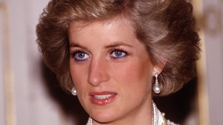 Princess Diana Closeup