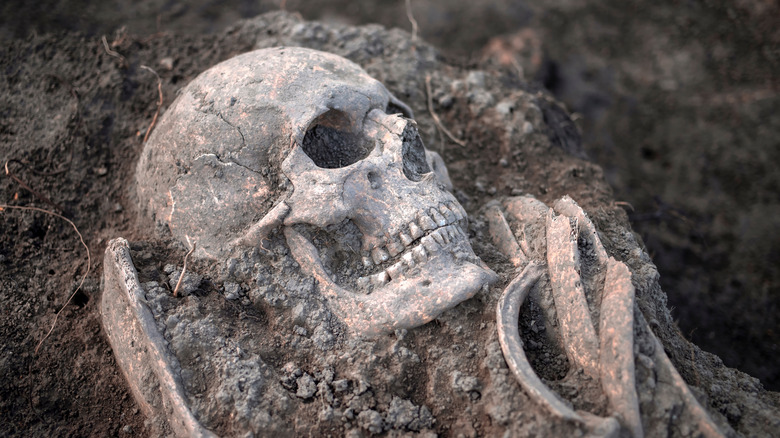 Excavated skeletal remains