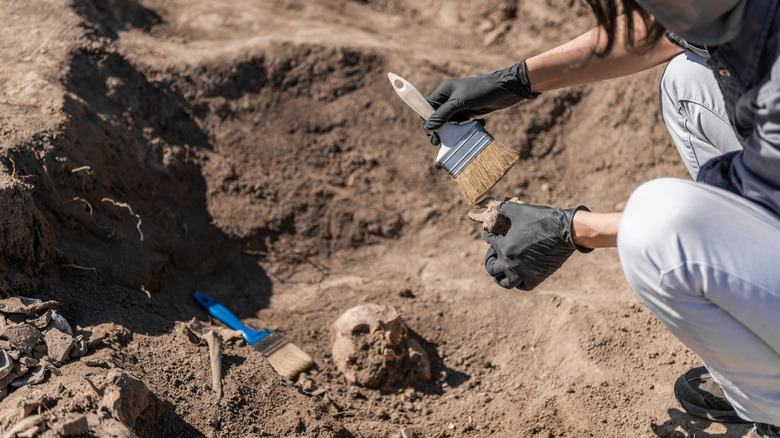 Archeologist excavating skeleton