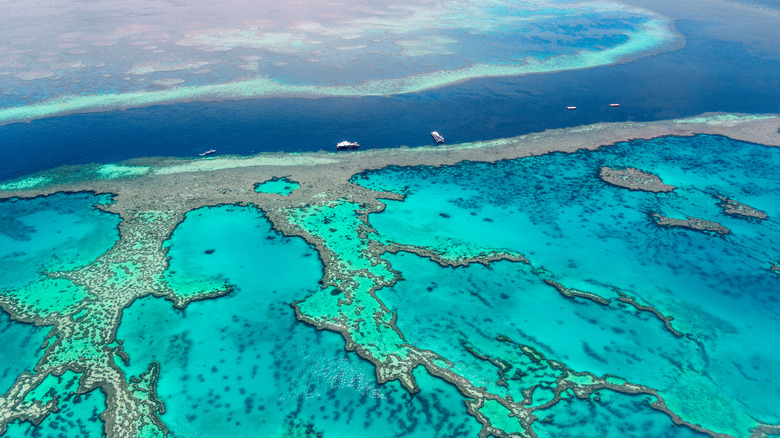Great Barrier Reef aerial view