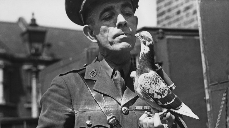 A British officer holding a carrier