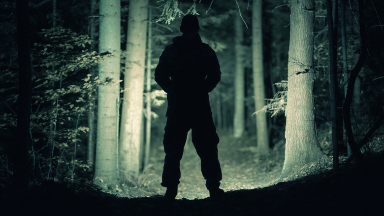 man searching woods by night