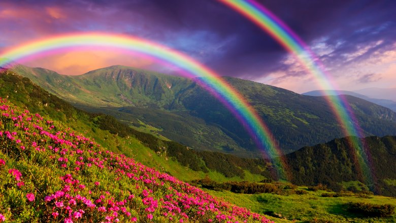 rainbows