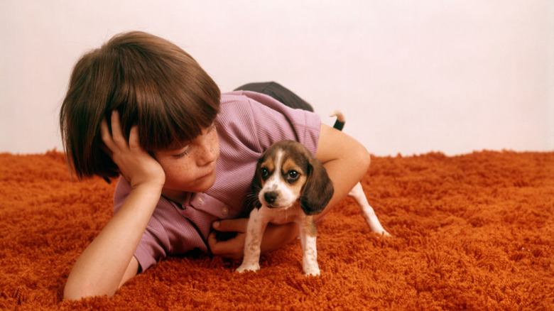 child and puppy in danger of becoming lost in deep pile orange shag carpet