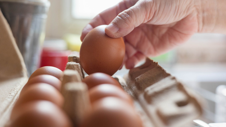 hand pulling egg from carton