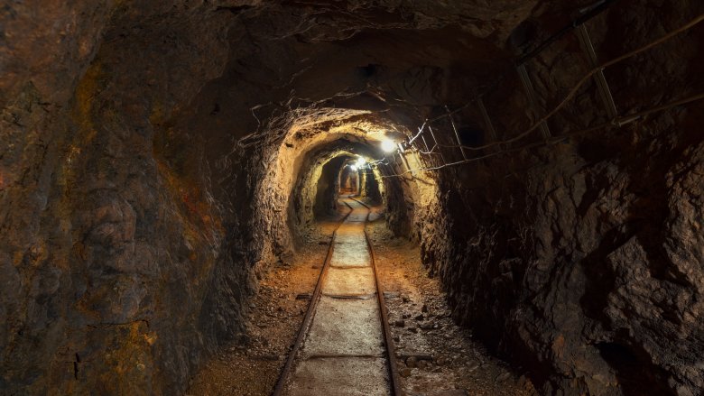 Gold Rush Miners Then and Now, Gold Rush