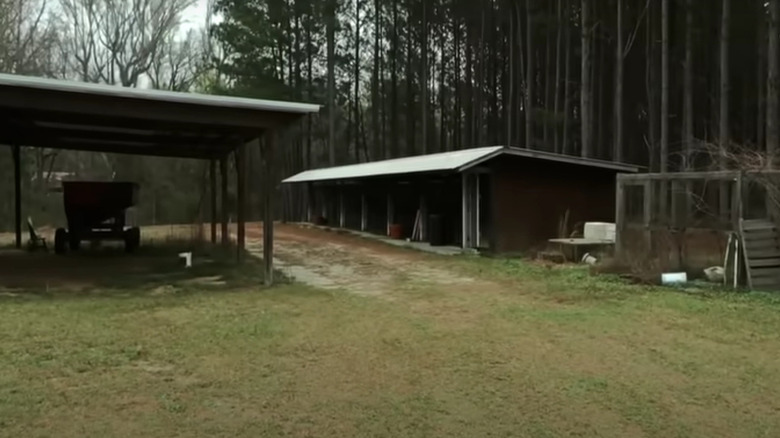 area of the property where the bodies were found
