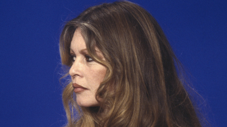 Brigitte Bardot looking to side