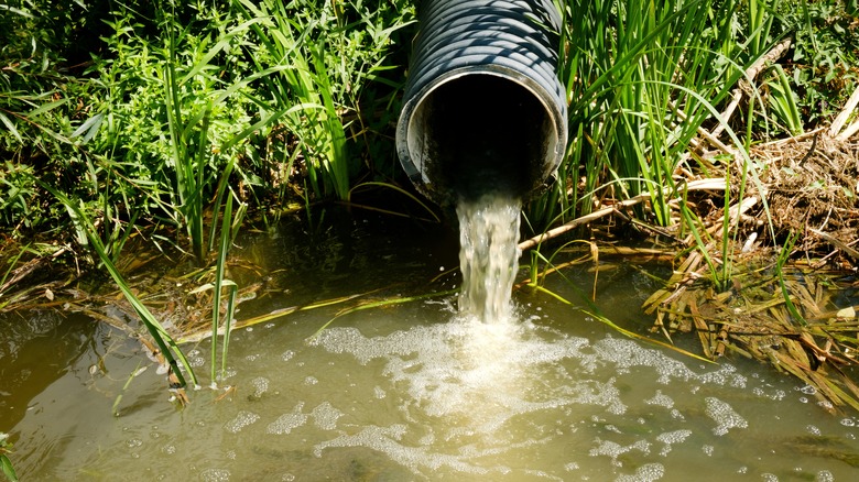 dirty pipeline draining sewage into water