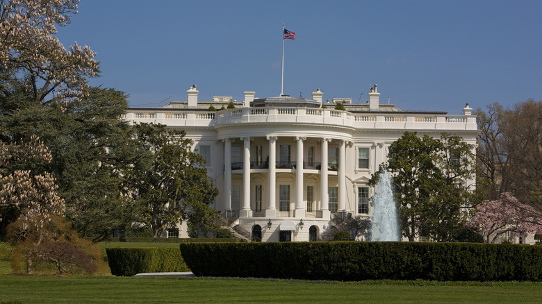 the white house