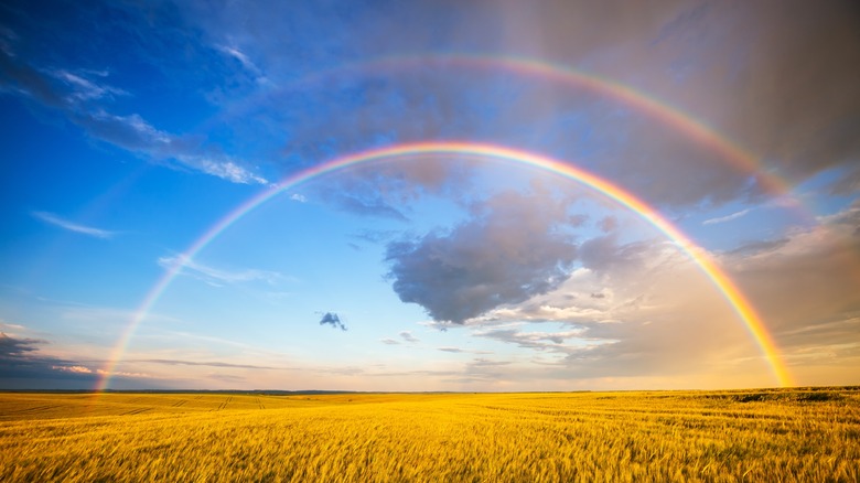 Double rainbow over wheat fields