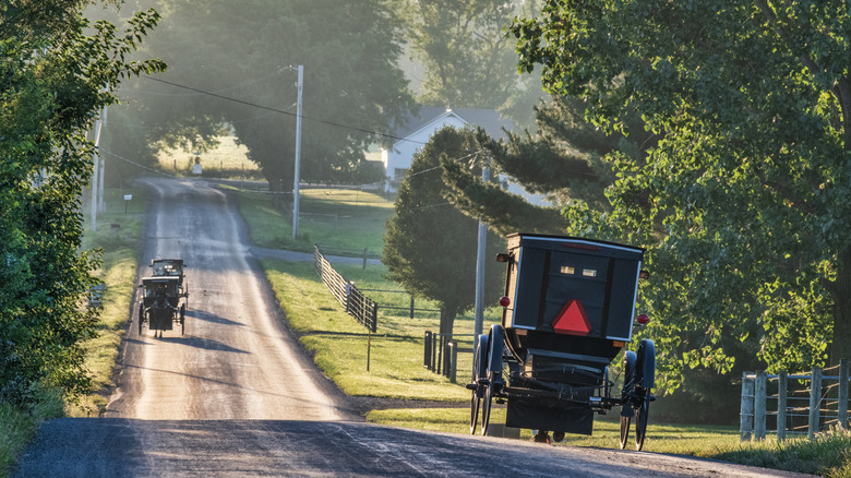 Amish buggies on a rural road