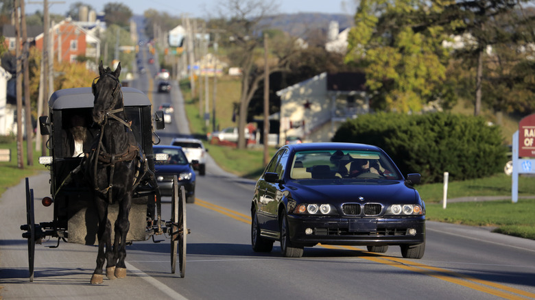 Amish buggy traveling alongside a car