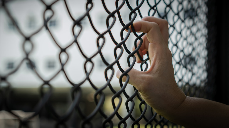 woman with her fingers tangled in the fence