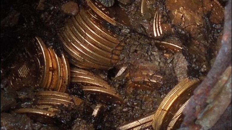 Gold coins found in the Saddle Ridge Hoard in 2014