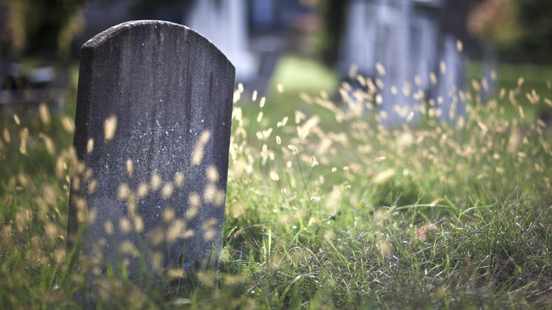 Headstone overgrown by tall grass