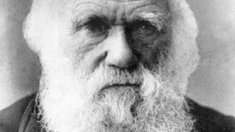 Charles Darwin