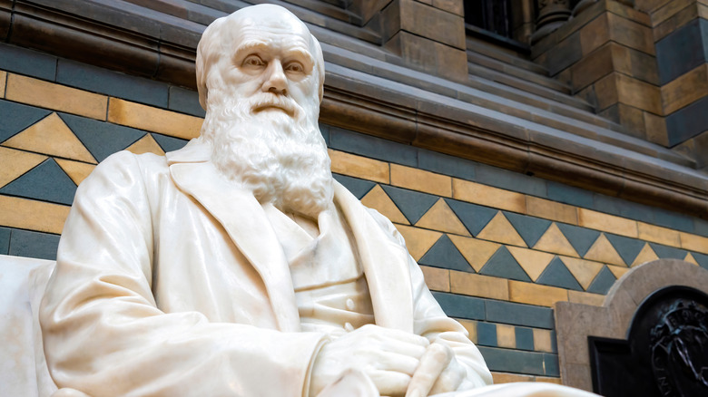 Statue of Charles Darwin