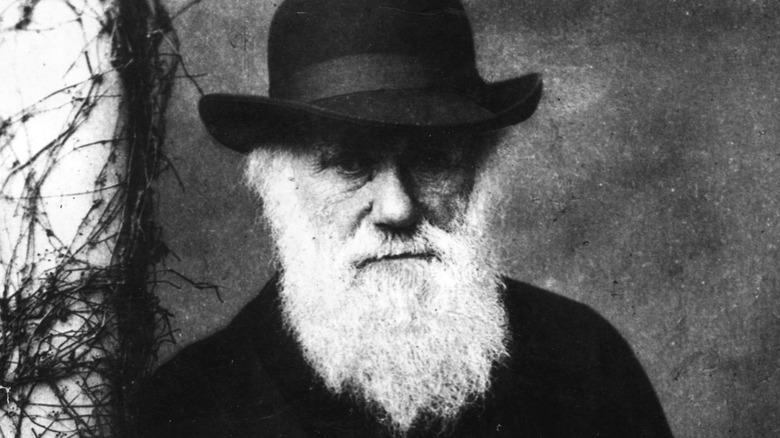 Charles Darwin