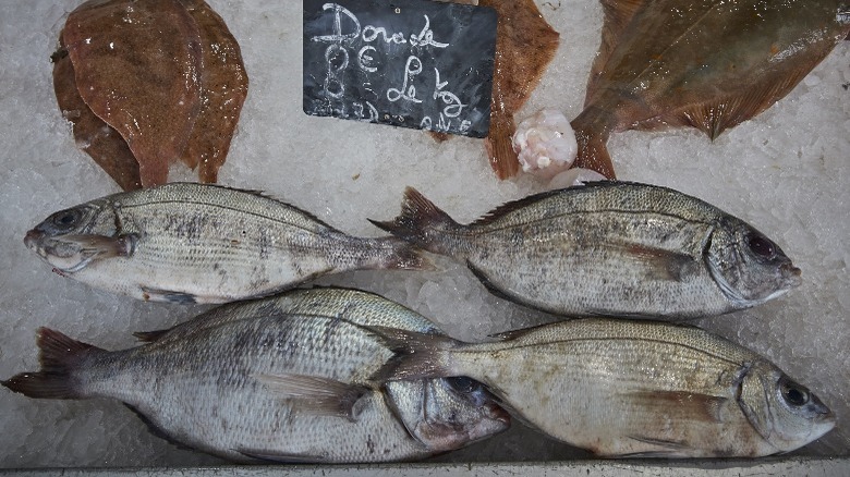 Fish on ice in market