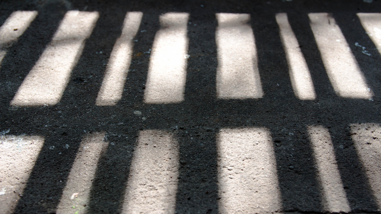 shadow of jail cell 