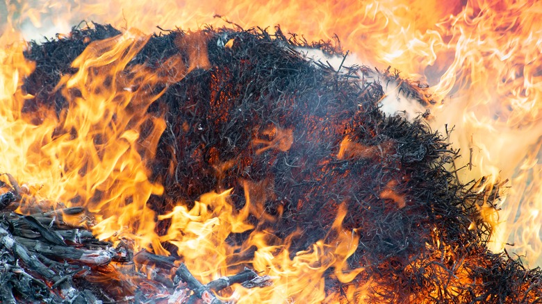 fire burning haystack