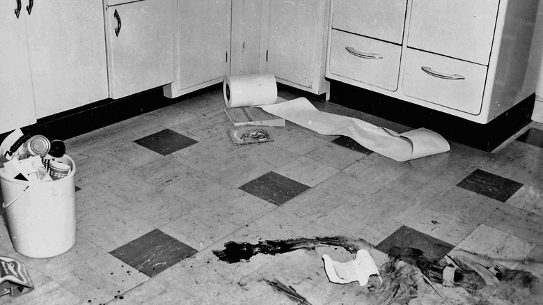 police photo of kitchen at scene of risch disappearance