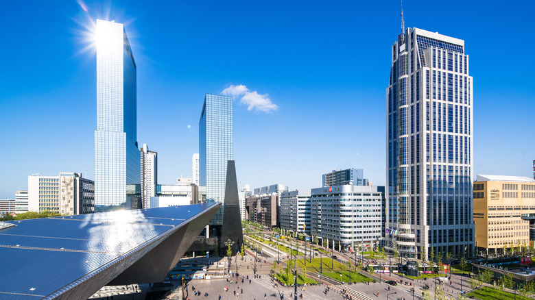 Skyscrapers in Rotterdam with plaza in foreground