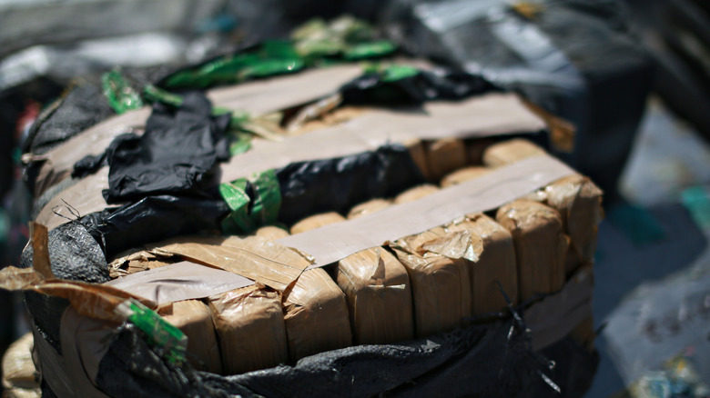 Seized and packaged cocaine