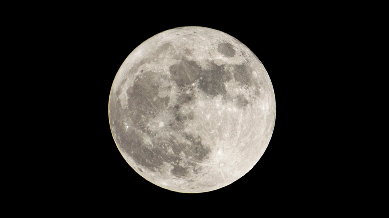the Moon
