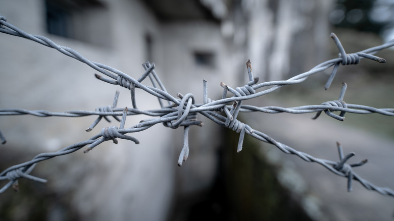 barbed wire concept art