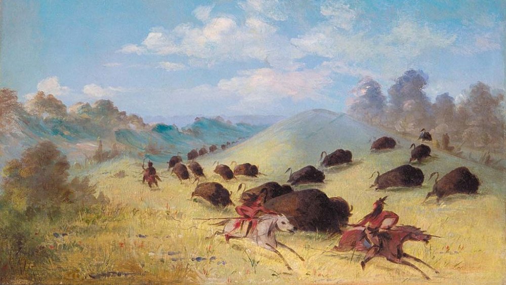 che Indians Chasing Buffalo with Lances and Bows by George Catlin