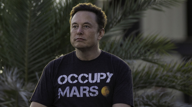photo of elon musk