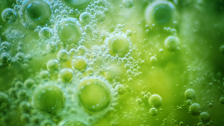 green bubbles