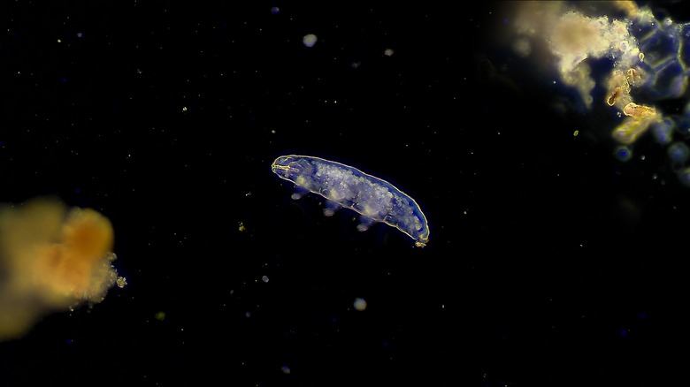 Microbe floating