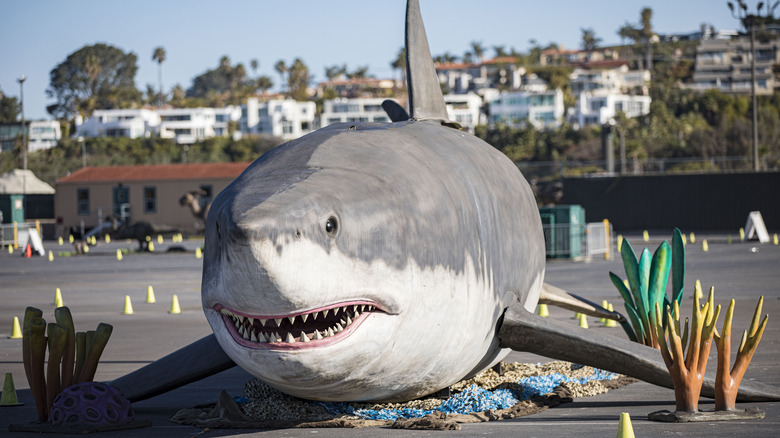life size megalodon shark