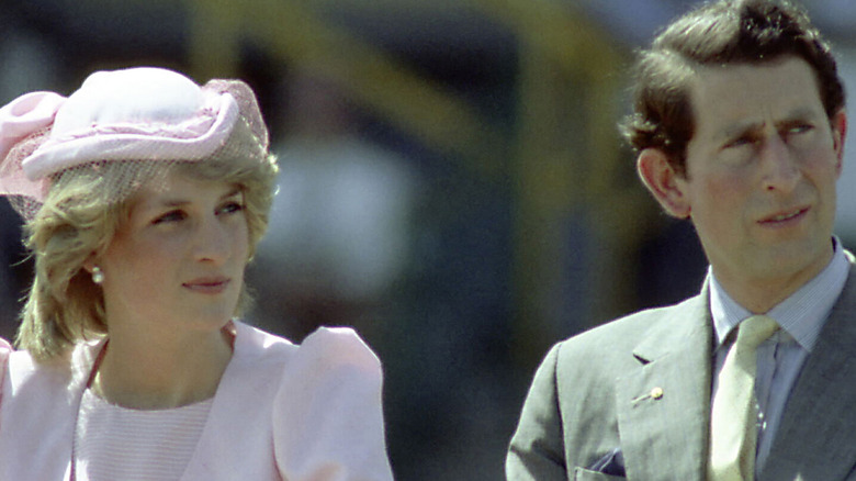 Charles and Diana sitting looking to side