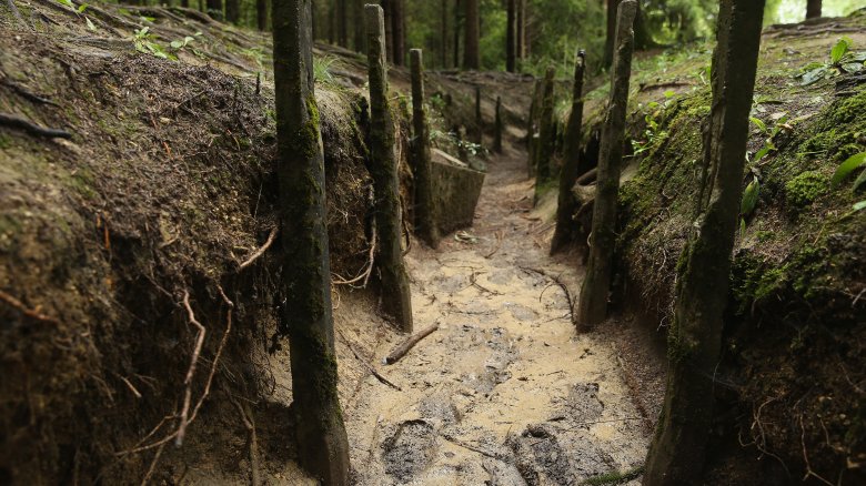 deep pit green woods