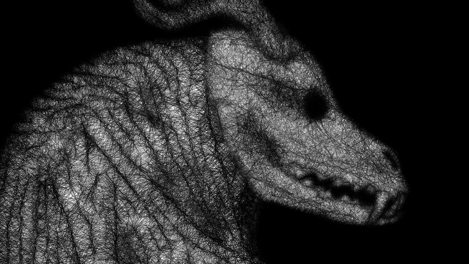 Creepy Myths From Canada That ll Keep You Up At Night Creepy Myths From Canada That ll Keep You Up At Night