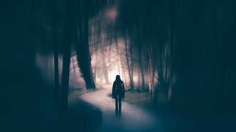 Silhouette in the woods
