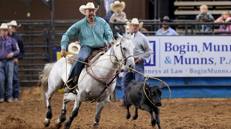 Rodeo cowboy attacking calf