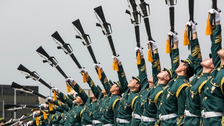 South Korean guns raised
