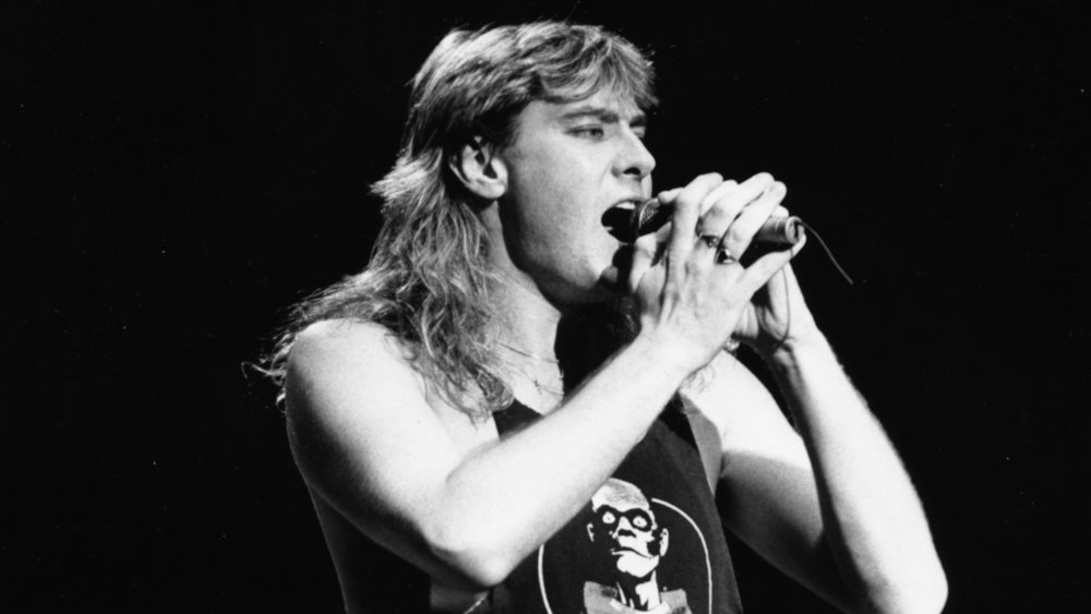 Joe Elliott singing with Def Leppard in 1987. 