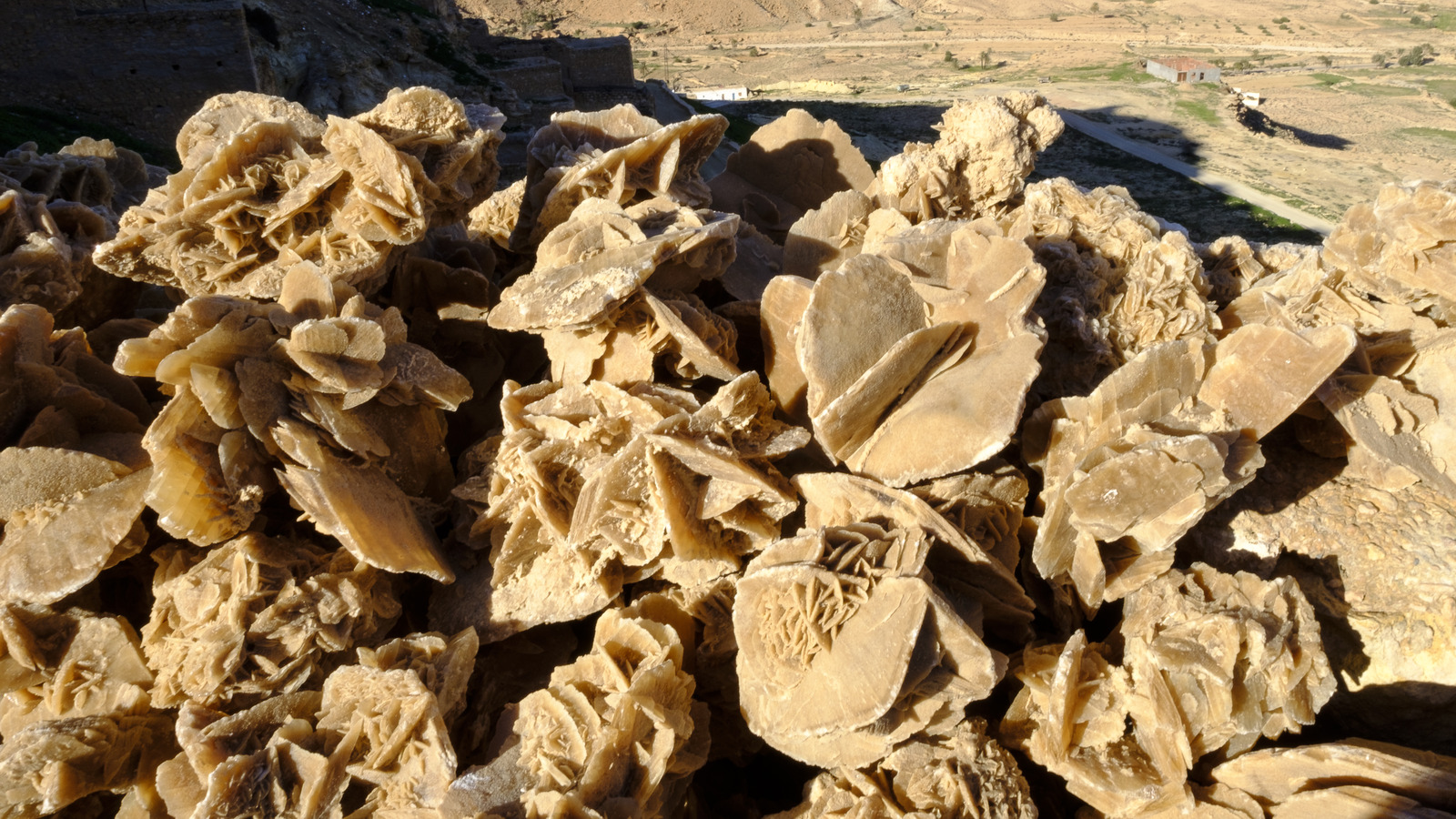 Desert Roses Details We Know About This Natural Phenomenon Desert Roses Details We Know About This Natural Phenomenon