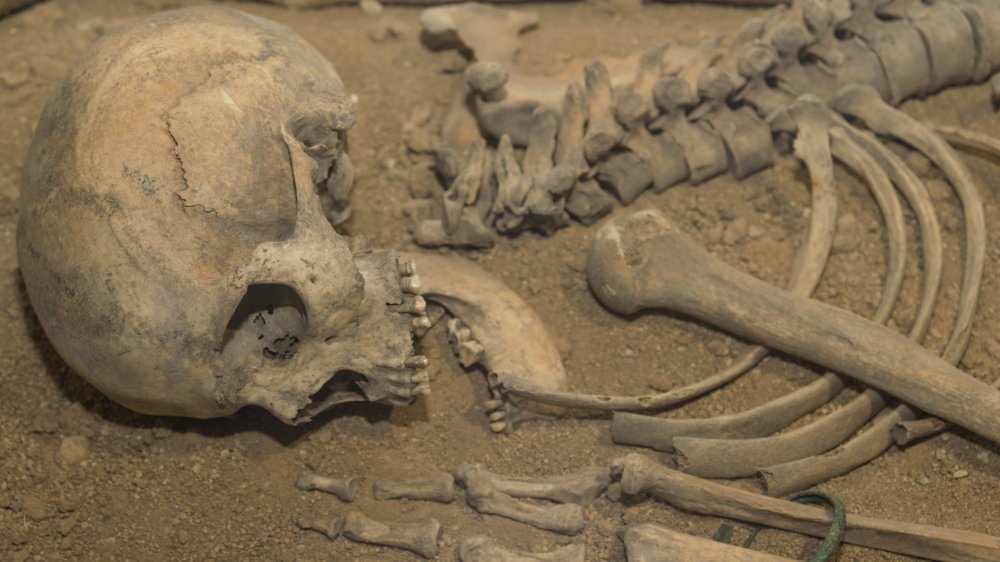 Neanderthal skeleton
