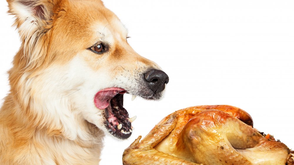 yum